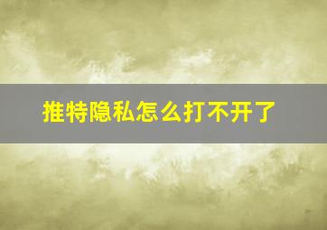 推特隐私怎么打不开了