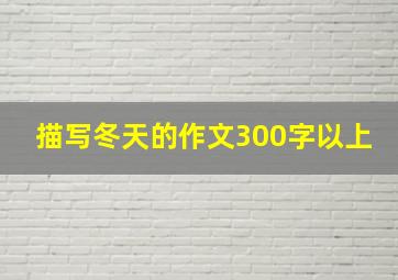 描写冬天的作文300字以上