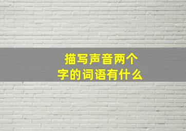 描写声音两个字的词语有什么