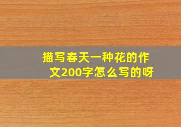 描写春天一种花的作文200字怎么写的呀