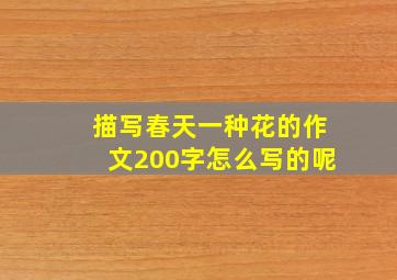 描写春天一种花的作文200字怎么写的呢