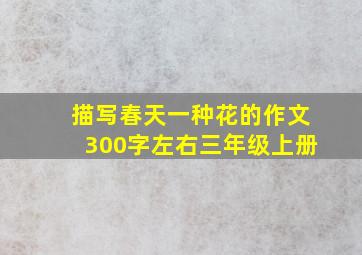 描写春天一种花的作文300字左右三年级上册