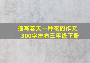 描写春天一种花的作文300字左右三年级下册