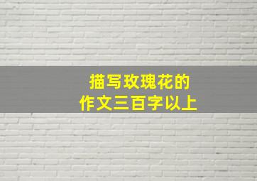 描写玫瑰花的作文三百字以上