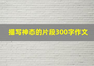 描写神态的片段300字作文