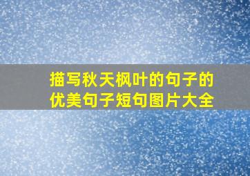 描写秋天枫叶的句子的优美句子短句图片大全