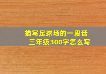 描写足球场的一段话三年级300字怎么写