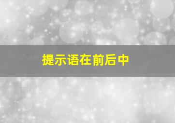 提示语在前后中