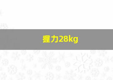 握力28kg