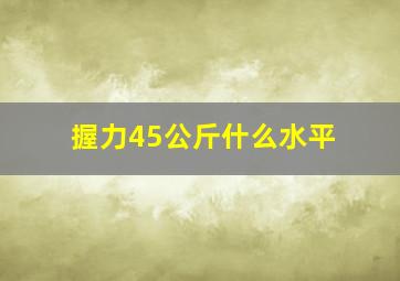 握力45公斤什么水平