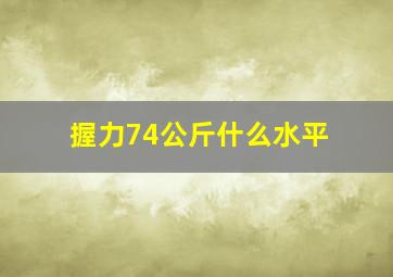 握力74公斤什么水平