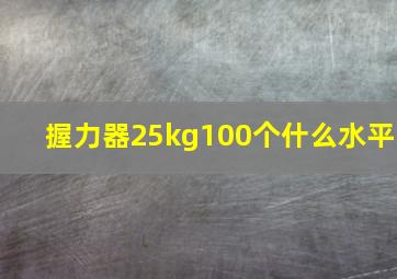 握力器25kg100个什么水平