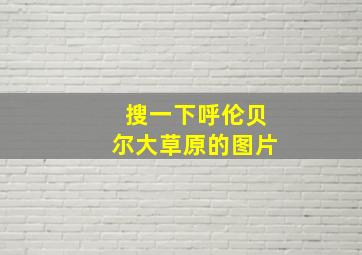 搜一下呼伦贝尔大草原的图片