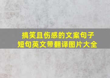 搞笑且伤感的文案句子短句英文带翻译图片大全