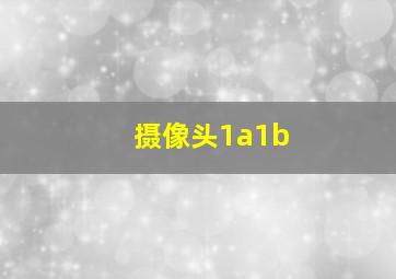 摄像头1a1b