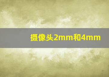 摄像头2mm和4mm