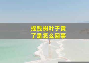 摇钱树叶子黄了是怎么回事