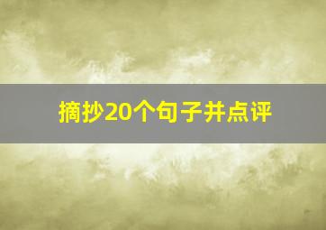 摘抄20个句子并点评