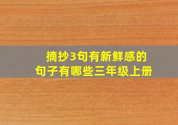 摘抄3句有新鲜感的句子有哪些三年级上册