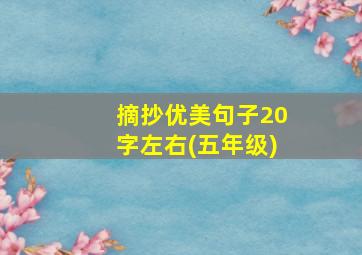 摘抄优美句子20字左右(五年级)