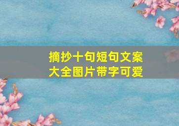 摘抄十句短句文案大全图片带字可爱