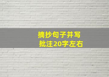 摘抄句子并写批注20字左右