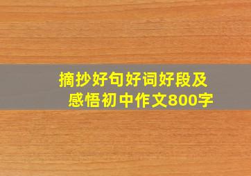 摘抄好句好词好段及感悟初中作文800字