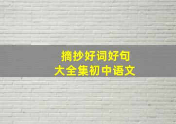 摘抄好词好句大全集初中语文