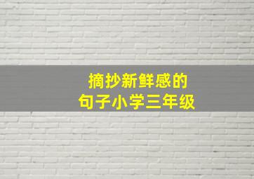 摘抄新鲜感的句子小学三年级