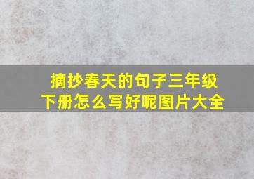 摘抄春天的句子三年级下册怎么写好呢图片大全