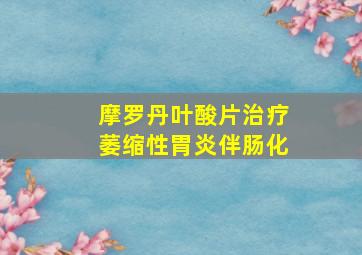 摩罗丹叶酸片治疗萎缩性胃炎伴肠化