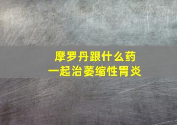 摩罗丹跟什么药一起治萎缩性胃炎