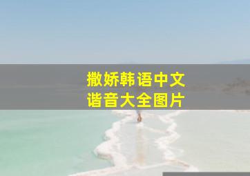 撒娇韩语中文谐音大全图片