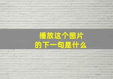 播放这个图片的下一句是什么