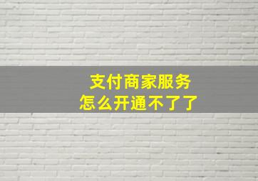 支付商家服务怎么开通不了了