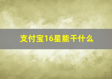 支付宝16星能干什么