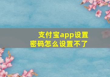 支付宝app设置密码怎么设置不了