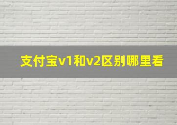 支付宝v1和v2区别哪里看