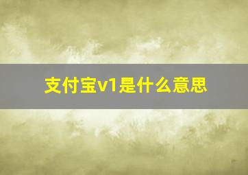 支付宝v1是什么意思