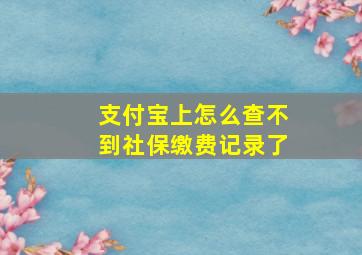 支付宝上怎么查不到社保缴费记录了