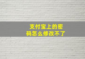 支付宝上的密码怎么修改不了