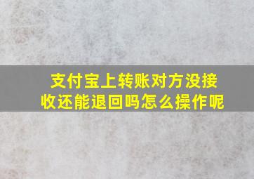 支付宝上转账对方没接收还能退回吗怎么操作呢