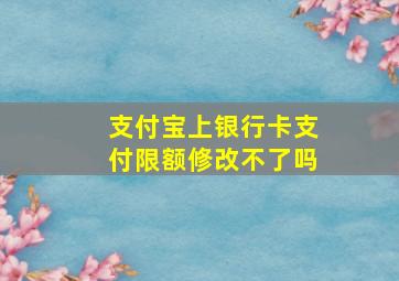 支付宝上银行卡支付限额修改不了吗