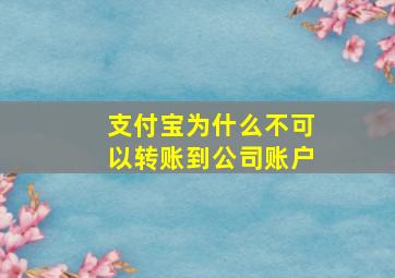 支付宝为什么不可以转账到公司账户