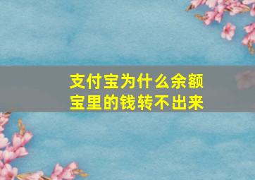 支付宝为什么余额宝里的钱转不出来