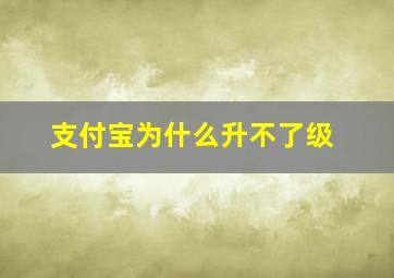 支付宝为什么升不了级