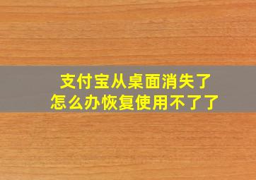 支付宝从桌面消失了怎么办恢复使用不了了