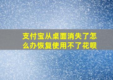 支付宝从桌面消失了怎么办恢复使用不了花呗