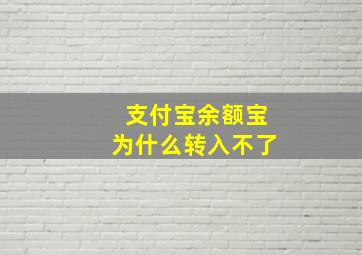 支付宝余额宝为什么转入不了