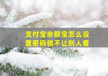 支付宝余额宝怎么设置密码锁不让别人看